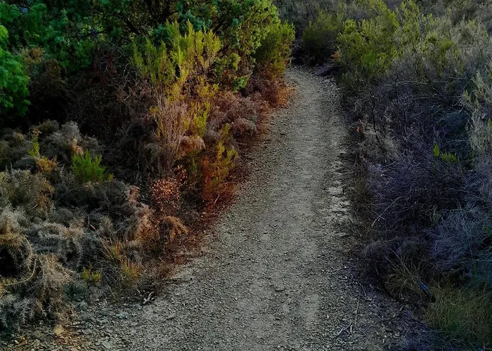 Appartamento De Medievale Vinca